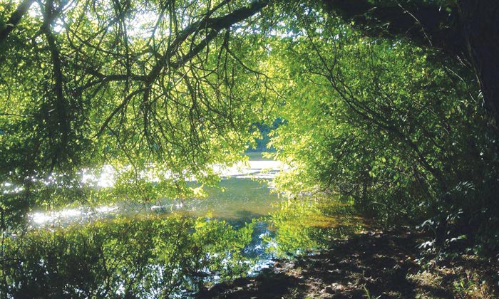 Puzzle Barrage de l'Angle Guignard