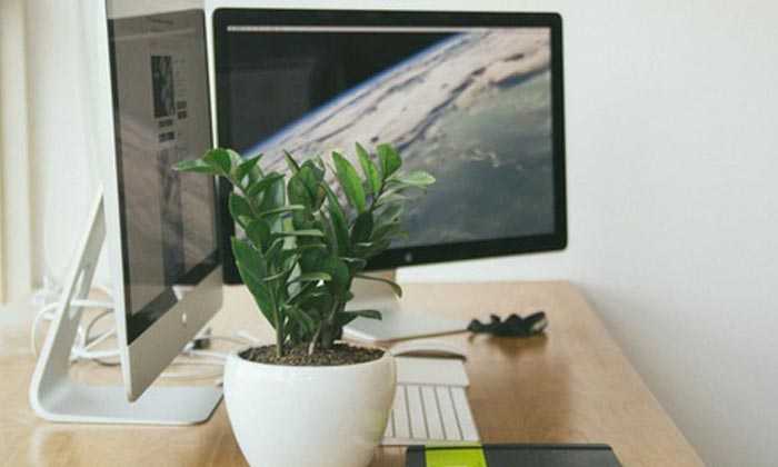 Puzzle Poste informatique