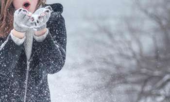 Puzzle 4001 - Dans la  neige