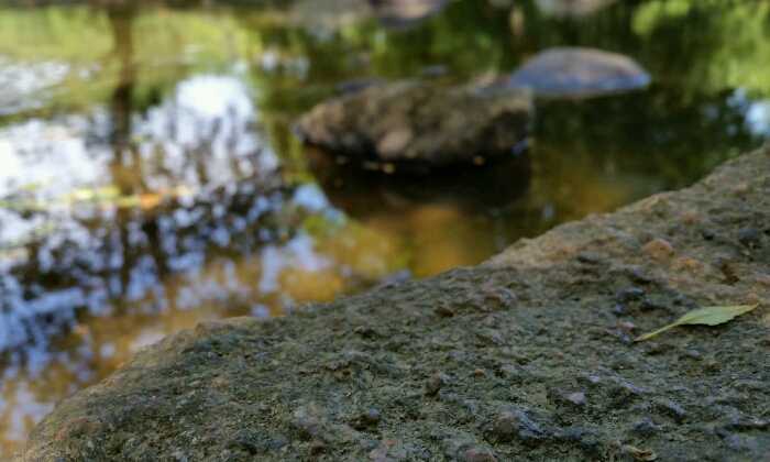 Puzzle Rochers et rivière
