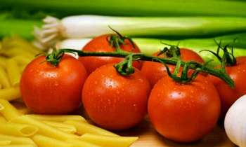 Puzzle 4431 - Grappe de tomate