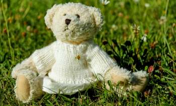 Puzzle 4052 - Peluche sur la pelouse