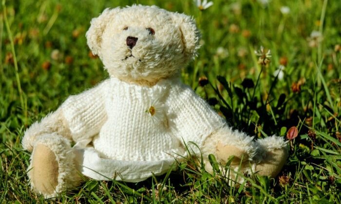 Puzzle Peluche sur la pelouse