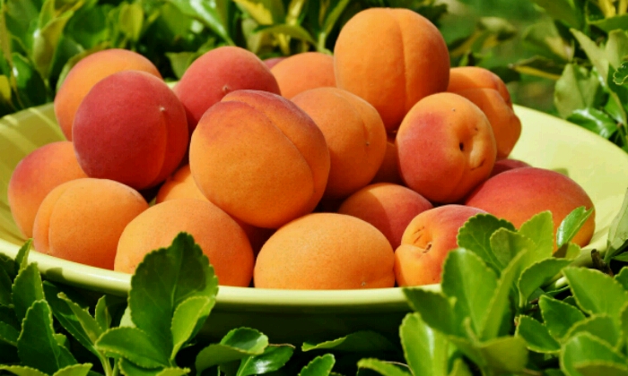 Puzzle Abricots