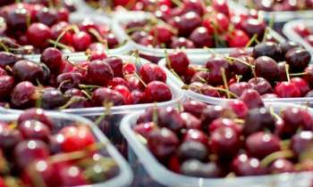 Puzzle 4531 - Cerises