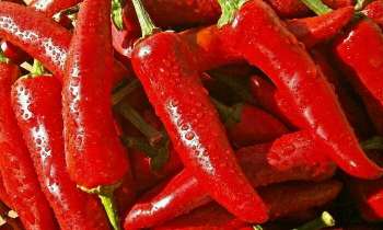 Puzzle 4190 - Piments rouges