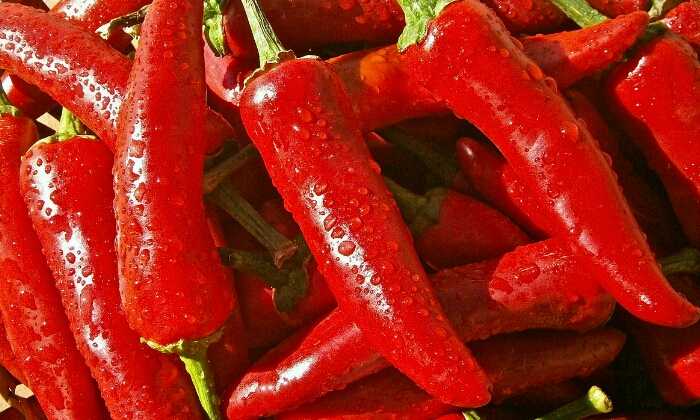 Puzzle Piments rouges