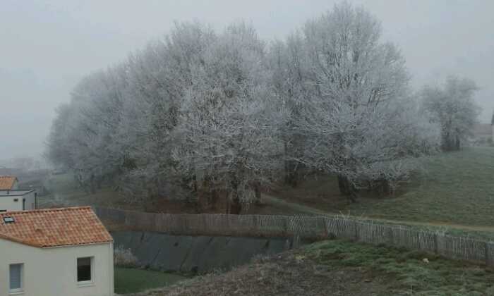 Puzzle Paysage d'hiver