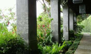 Puzzle 4065 - Passage ombragé de verdure