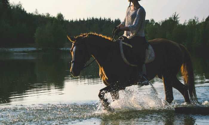 Puzzle Cavalière dans la rivière