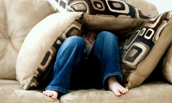 Puzzle 4066 - Caché sous les coussins