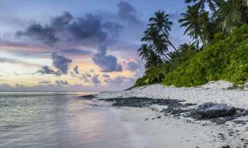 Puzzle 4555 - Plage paradisiaque