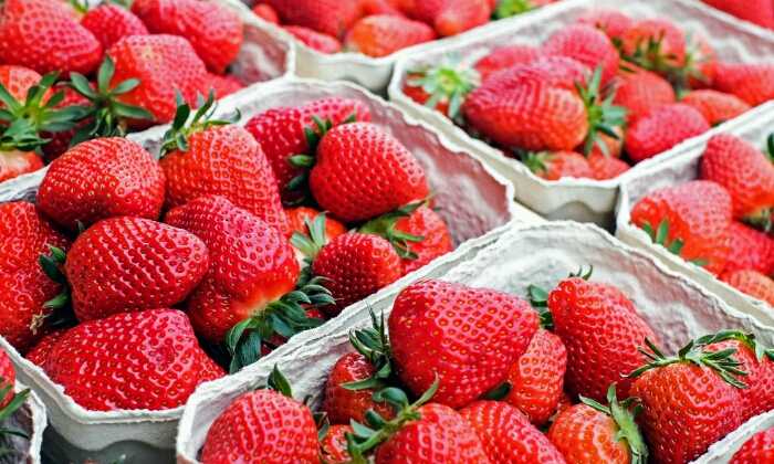 Puzzle Barquettes de fraises