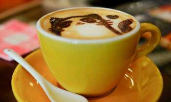Puzzle 4086 - Café chat