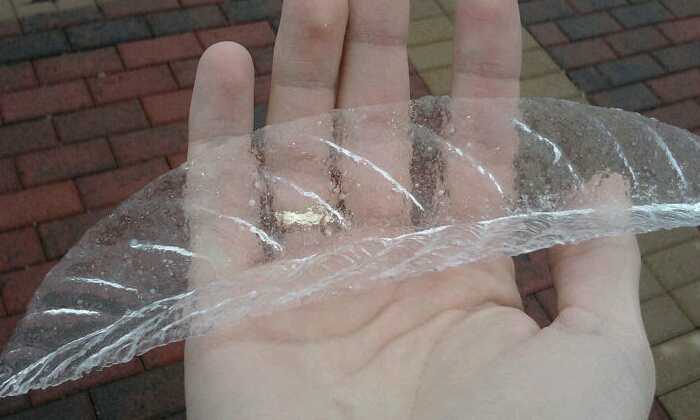 Puzzle Feuille de glace
