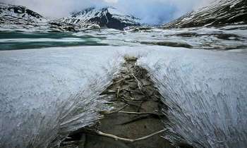 Puzzle 4366 - Champ de glace