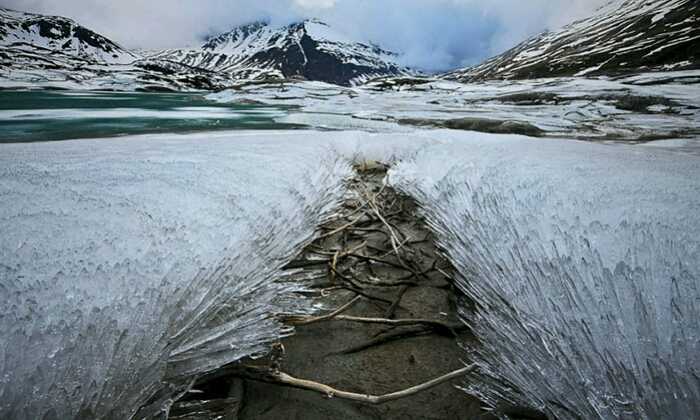 Puzzle Champ de glace