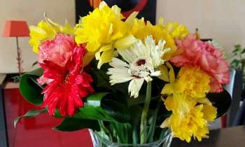 Puzzle 4243 - bouquet de fleurs