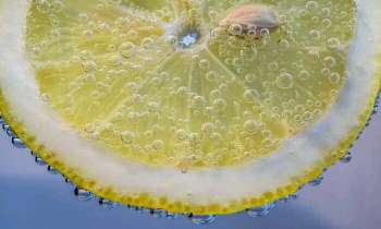 Puzzle 4225 - tranche de citron