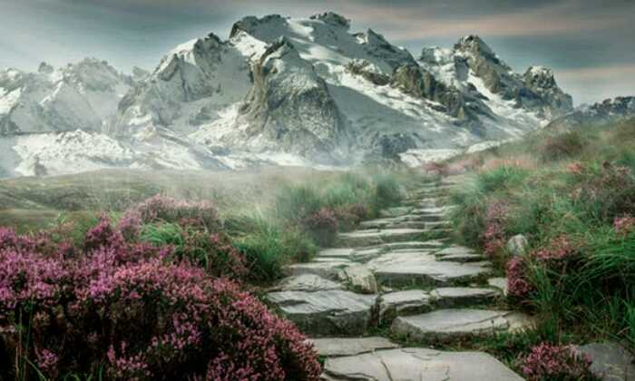 Puzzle Montagne enneigée
