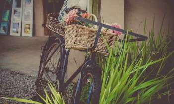 Puzzle 4316 - Bicyclette et panier