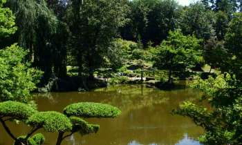 Puzzle 4755 - Parc de Maulévrier