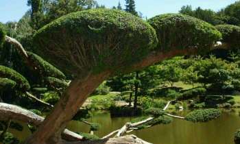 Puzzle 4628 - Parc oriental de Maulévrier
