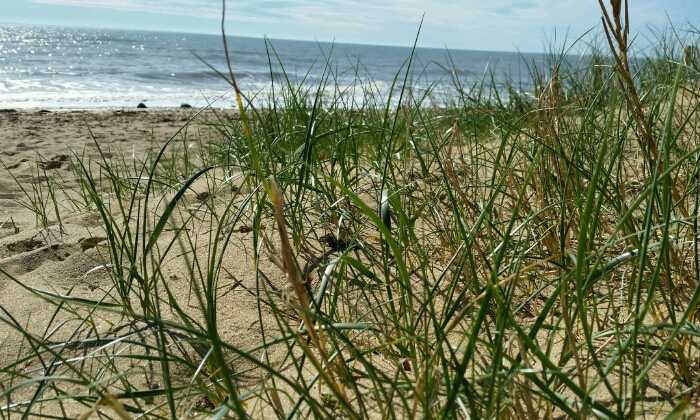 Puzzle Bord de mer