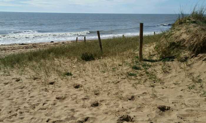 Puzzle Arrivée sur la plage
