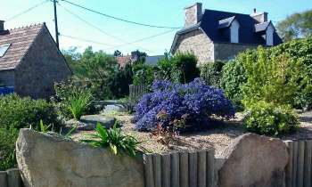 Puzzle 4124 - Rocaille fleurie