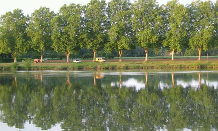 Puzzle Le Tarn bordé de peupliers
