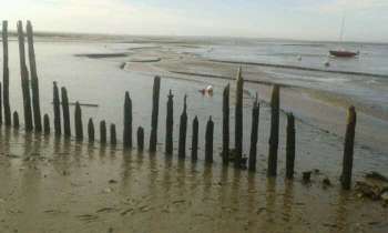 Puzzle 4450 - Bassin d'Arcachon