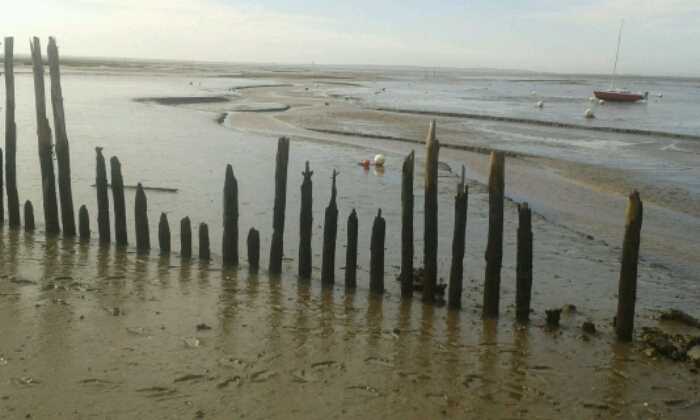 Puzzle Bassin d'Arcachon