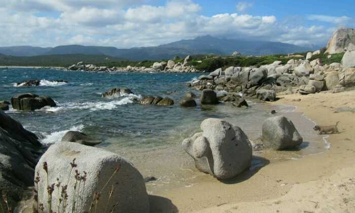 Puzzle Plage du sud de la Corse