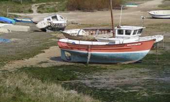 Puzzle 4156 - Bateaux bretons
