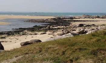 Puzzle 4630 - Plage bretonne