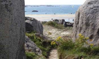 Puzzle 4523 - Vue de la mer en Bretagne