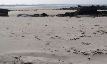 Puzzle 4623 - Plage bretonne