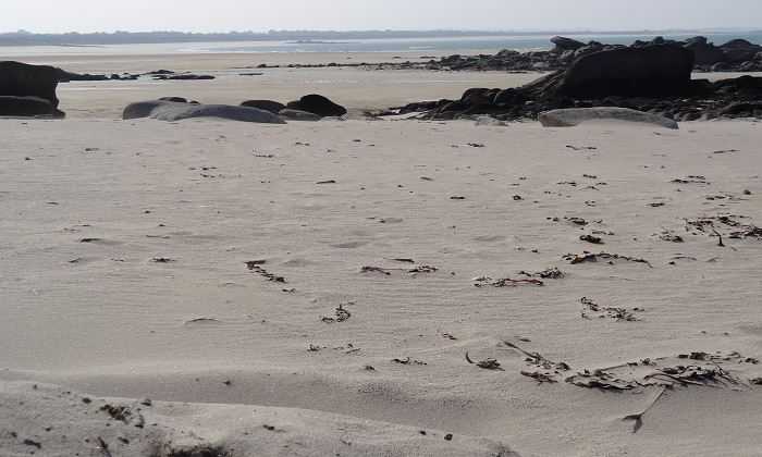Puzzle Plage bretonne