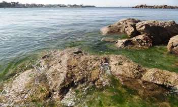Puzzle 4443 - Mer en Bretagne