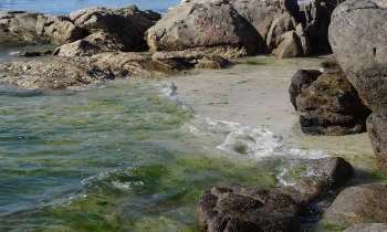 Puzzle 4542 - Plage bretonne