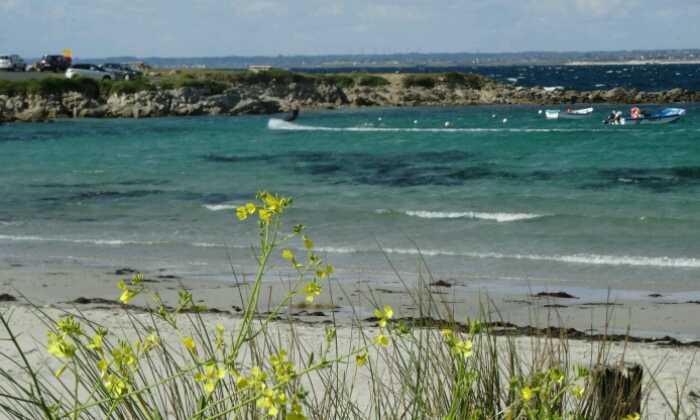 Puzzle Plage de Pors Carn