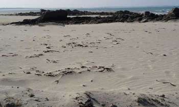 Puzzle 4726 - Plage de Bretagne