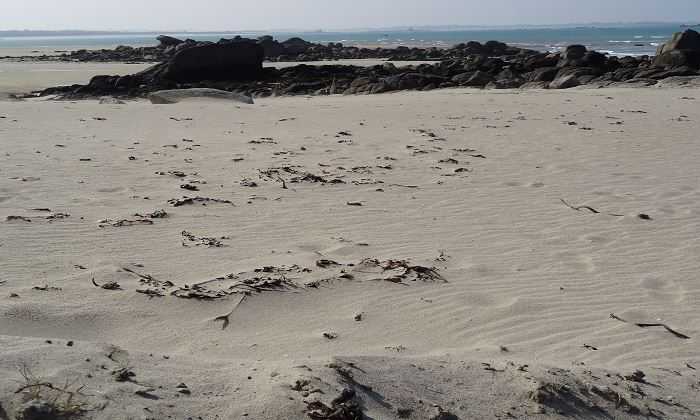 Puzzle Plage de Bretagne