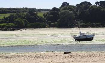 Puzzle 4425 - Marée basse en Bretagne