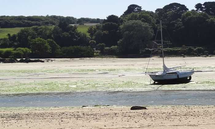 Puzzle Marée basse en Bretagne