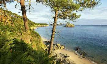 Puzzle 4178 - Bord de mer dans le Finistère