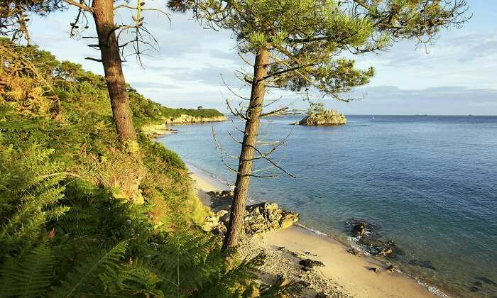 Puzzle Bord de mer dans le Finistère