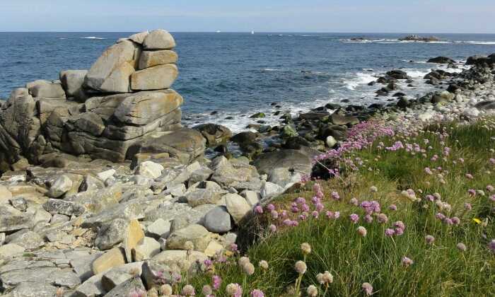 Puzzle Plage de rochers