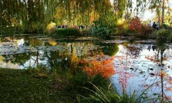 Puzzle 5061 - Jardin Claude Monnet
